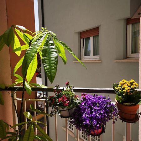 Apuleio 11 Apartment Roma Exterior foto