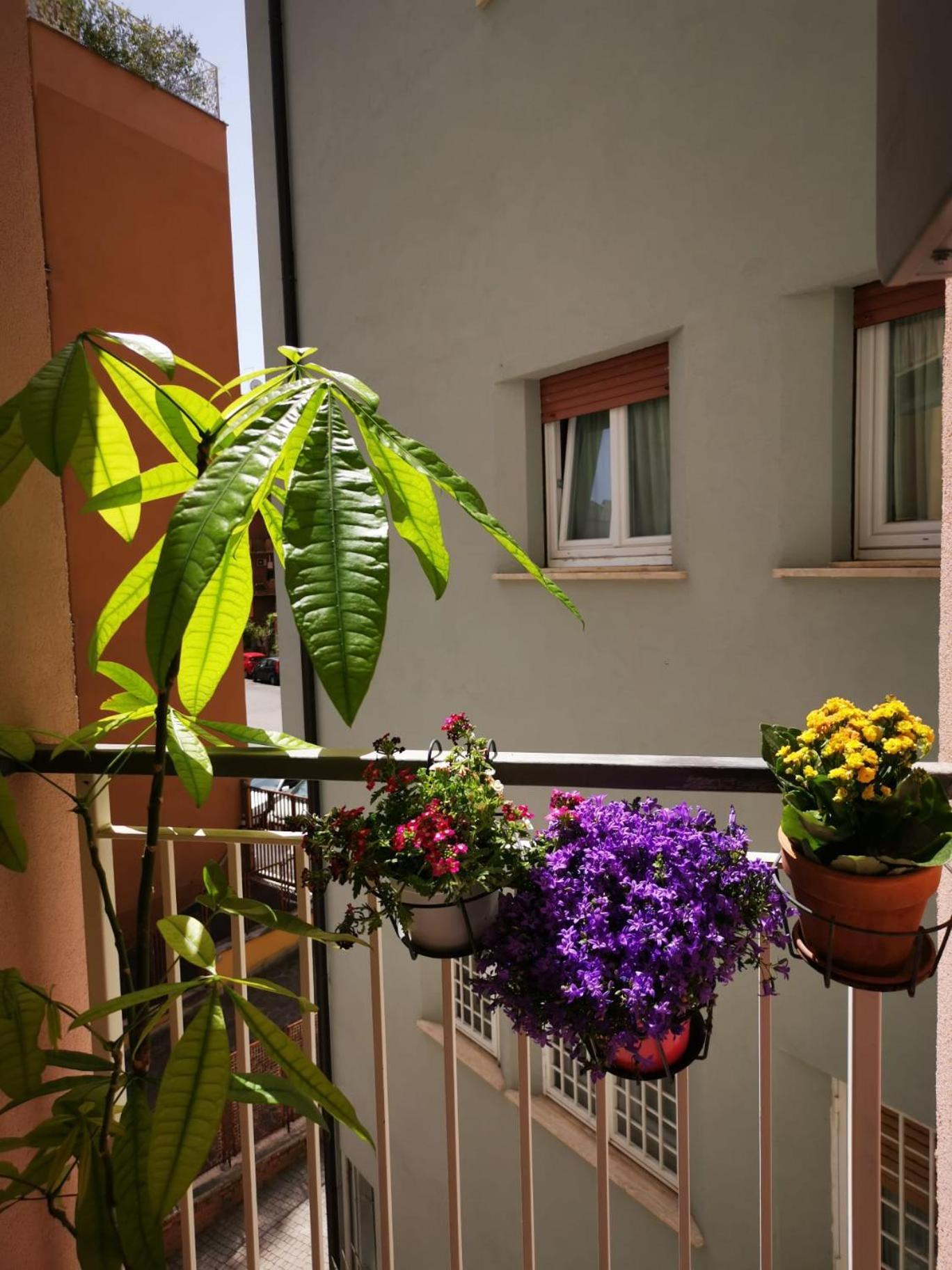 Apuleio 11 Apartment Roma Exterior foto